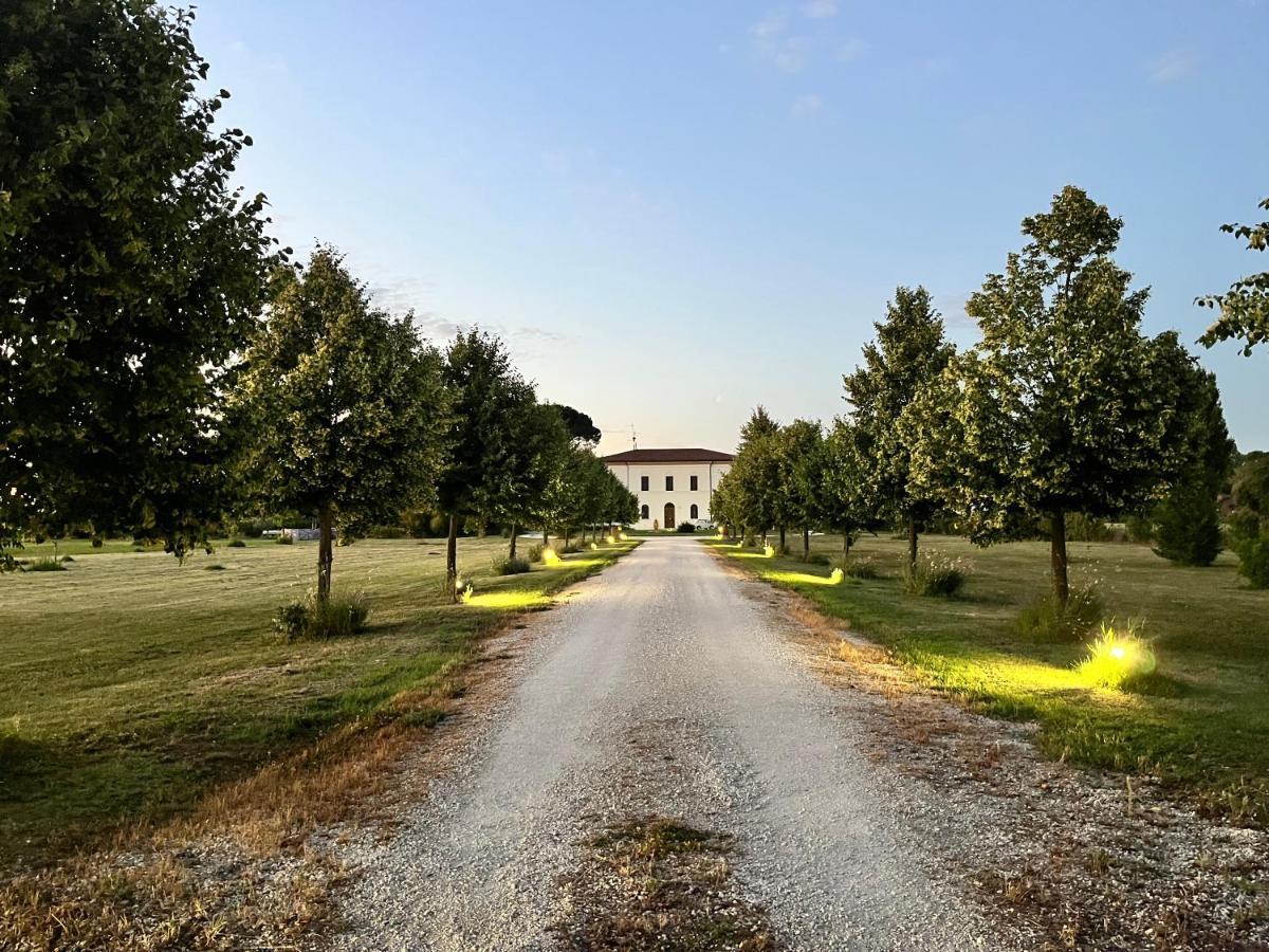 Villa Archi Faenza Dış mekan fotoğraf