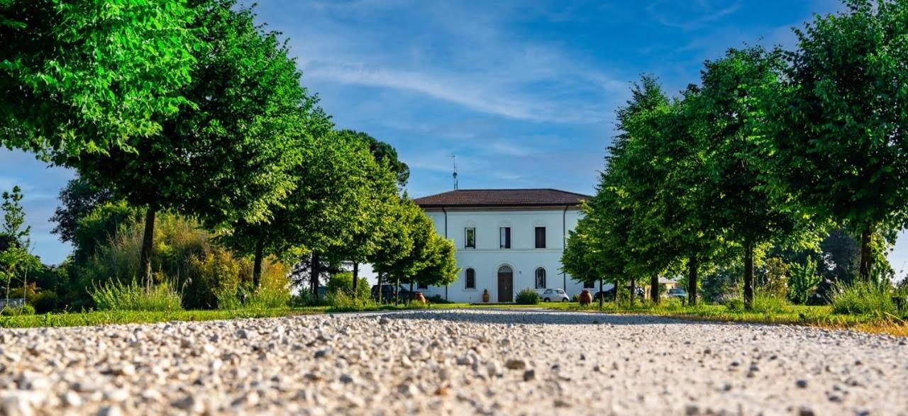 Villa Archi Faenza Dış mekan fotoğraf