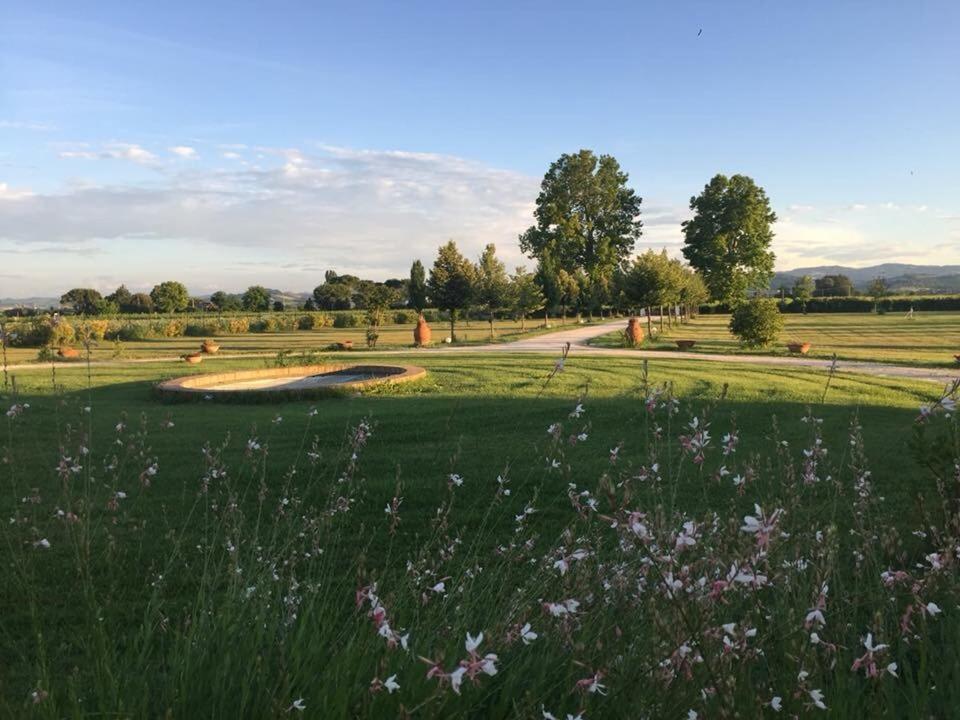 Villa Archi Faenza Dış mekan fotoğraf